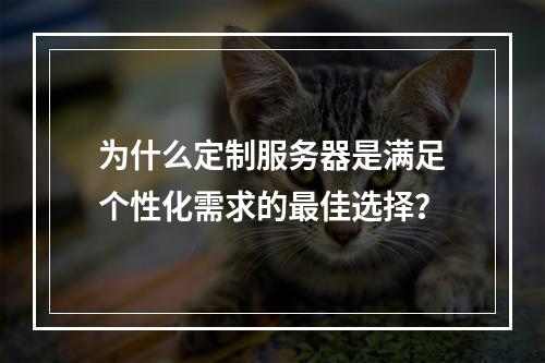 为什么定制服务器是满足个性化需求的最佳选择?