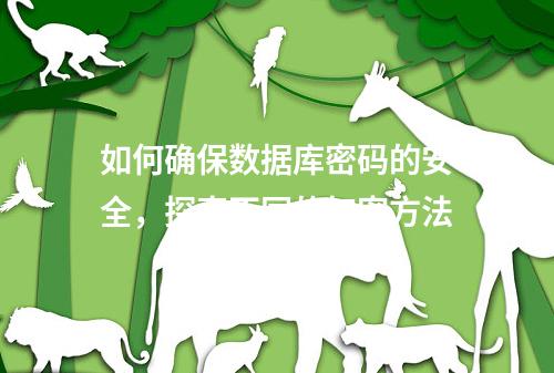 如何确保数据库密码的安全,探索不同的加密方法