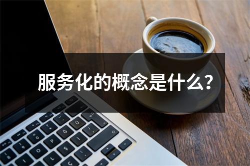 服务化的概念是什么?