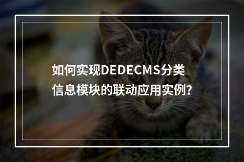 如何实现DEDECMS分类信息模块的联动应用实例?