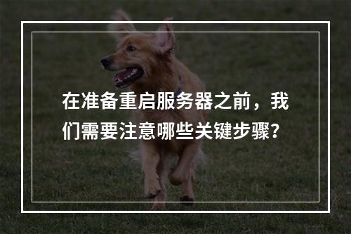 在准备重启服务器之前,我们需要注意哪些关键步骤?