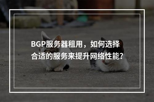 BGP服务器租用,如何选择合适的服务来提升网络性能?