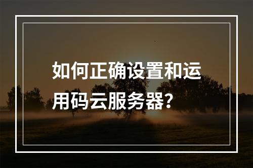如何正确设置和运用码云服务器?