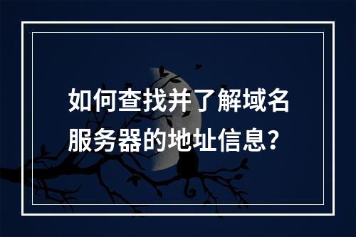 如何查找并了解域名服务器的地址信息?