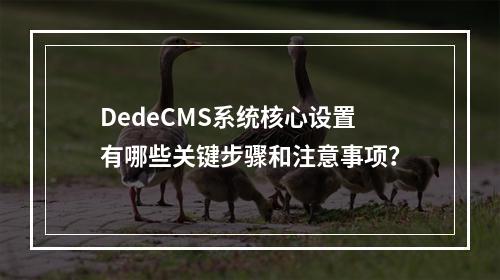 DedeCMS系统核心设置有哪些关键步骤和注意事项?