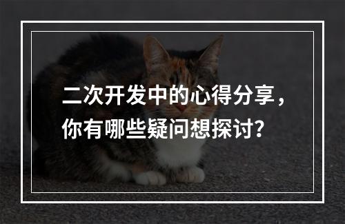 二次开发中的心得分享,你有哪些疑问想探讨?