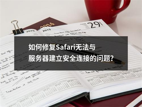 如何修复Safari无法与服务器建立安全连接的问题?