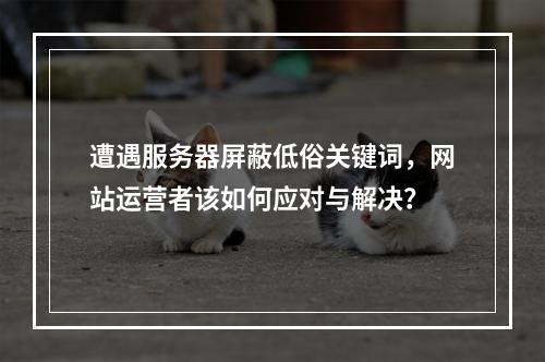 遭遇服务器屏蔽低俗关键词,网站运营者该如何应对与解决?