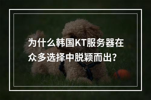 为什么韩国KT服务器在众多选择中脱颖而出?