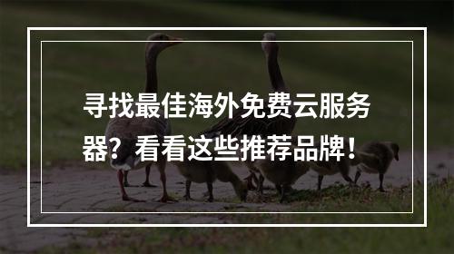 寻找最佳海外免费云服务器?看看这些推荐品牌!