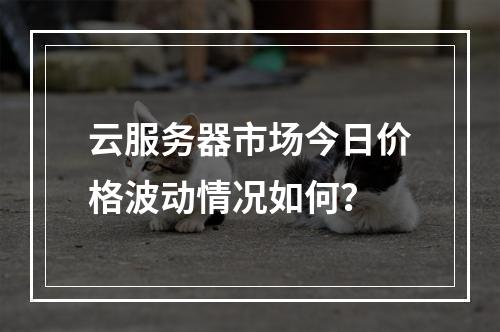 云服务器市场今日价格波动情况如何?