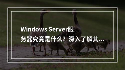 Windows Server服务器究竟是什么?深入了解其核心功能与作用
