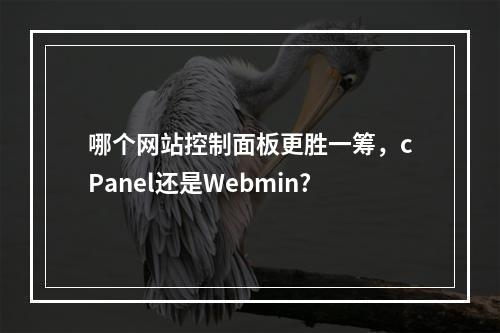 哪个网站控制面板更胜一筹,cPanel还是Webmin?