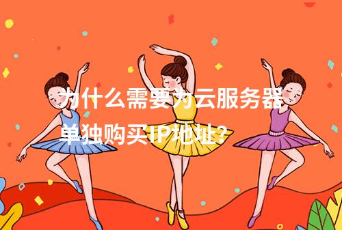 为什么需要为云服务器单独购买IP地址?