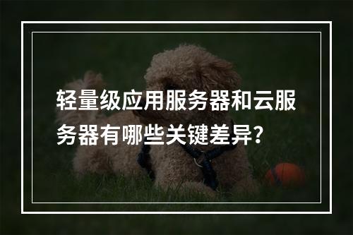 轻量级应用服务器和云服务器有哪些关键差异?