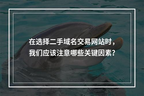 在选择二手域名交易网站时,我们应该注意哪些关键因素?