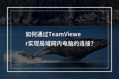 如何通过TeamViewer实现局域网内电脑的连接?