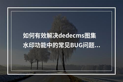 如何有效解决dedecms图集水印功能中的常见BUG问题?