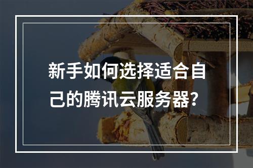 新手如何选择适合自己的腾讯云服务器?