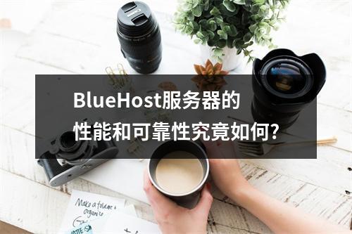 BlueHost服务器的性能和可靠性究竟如何?