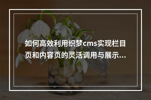如何高效利用织梦cms实现栏目页和内容页的灵活调用与展示?