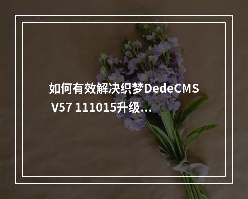 如何有效解决织梦DedeCMS V57 111015升级后出现的乱码错误问题?