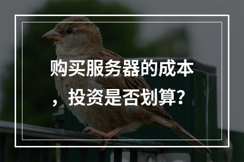 购买服务器的成本,投资是否划算?