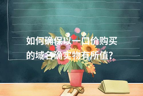 如何确保以一口价购买的域名确实物有所值?