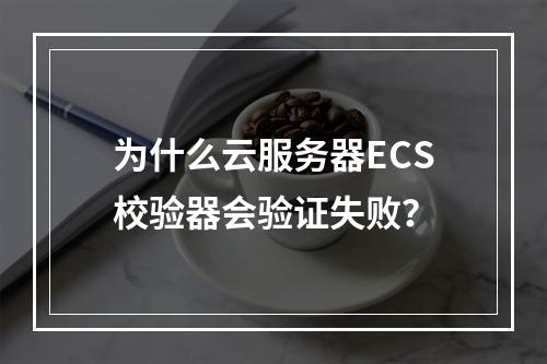 为什么云服务器ECS校验器会验证失败?
