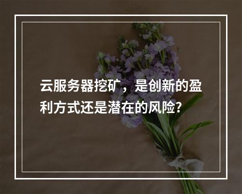 云服务器挖矿,是创新的盈利方式还是潜在的风险?