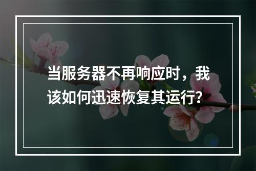 当服务器不再响应时,我该如何迅速恢复其运行?