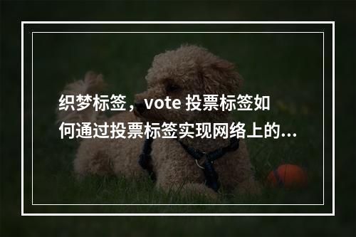 织梦标签,vote 投票标签如何通过投票标签实现网络上的梦想投票活动?