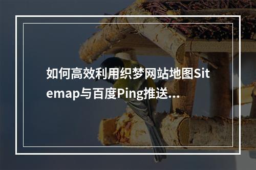 如何高效利用织梦网站地图Sitemap与百度Ping推送功能提升网站SEO效果?