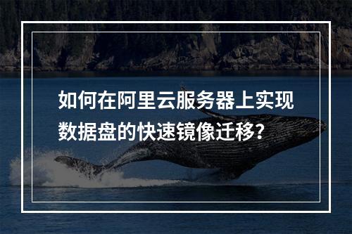 如何在阿里云服务器上实现数据盘的快速镜像迁移?