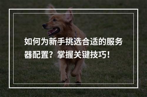 如何为新手挑选合适的服务器配置?掌握关键技巧!