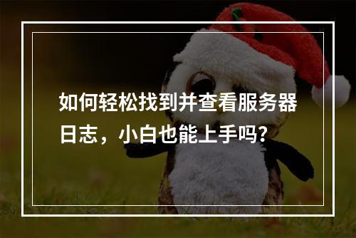 如何轻松找到并查看服务器日志,小白也能上手吗?