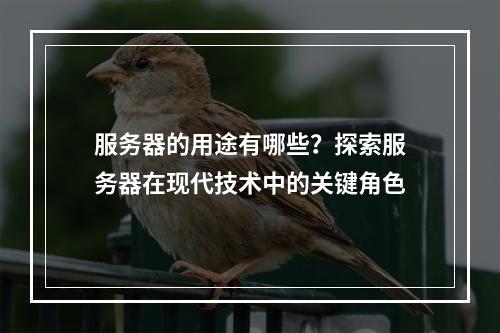 服务器的用途有哪些?探索服务器在现代技术中的关键角色
