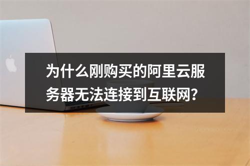 为什么刚购买的阿里云服务器无法连接到互联网?