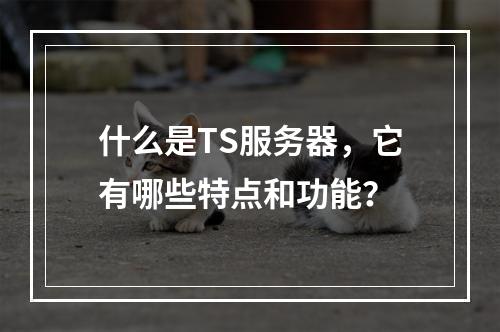 什么是TS服务器,它有哪些特点和功能?