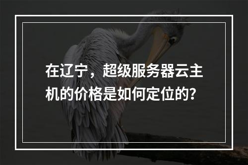 在辽宁,超级服务器云主机的价格是如何定位的?