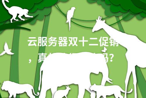 云服务器双十二促销,真的值得抢购吗?