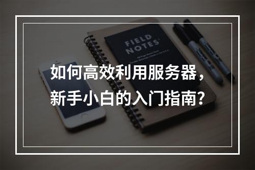 如何高效利用服务器,新手小白的入门指南?