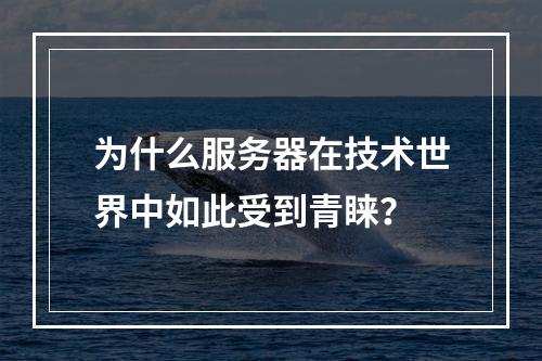 为什么服务器在技术世界中如此受到青睐?