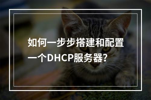如何一步步搭建和配置一个DHCP服务器?