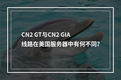 CN2 GT与CN2 GIA线路在美国服务器中有何不同?