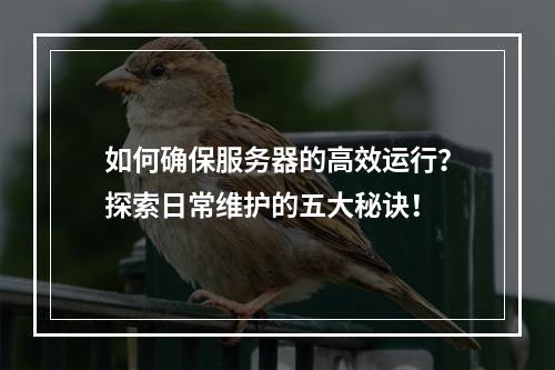 如何确保服务器的高效运行?探索日常维护的五大秘诀!
