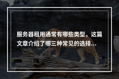 服务器租用通常有哪些类型,这篇文章介绍了哪三种常见的选择?