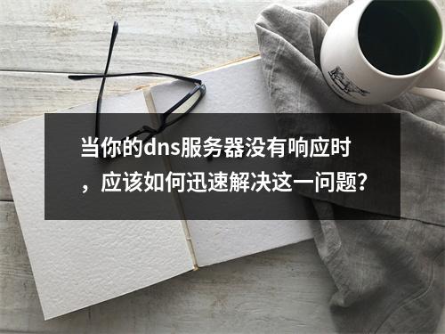 当你的dns服务器没有响应时,应该如何迅速解决这一问题?