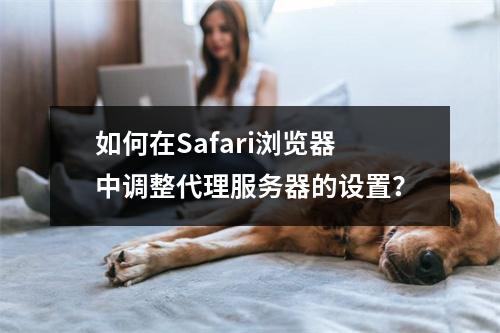 如何在Safari浏览器中调整代理服务器的设置?
