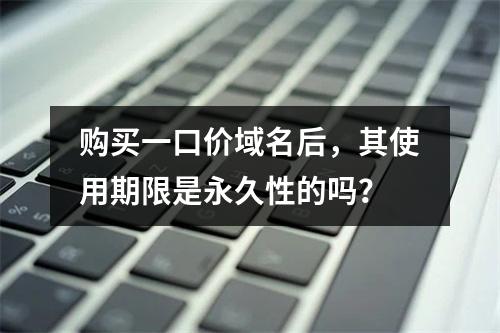 购买一口价域名后,其使用期限是永久性的吗?